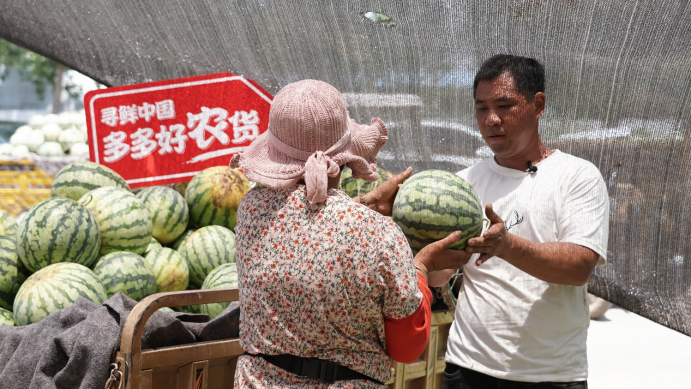 原产地的味道！夏邑西瓜携手拼多多打响好农货品牌