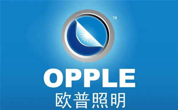欧普照明营收净利双降业绩欠佳 股东质押救场