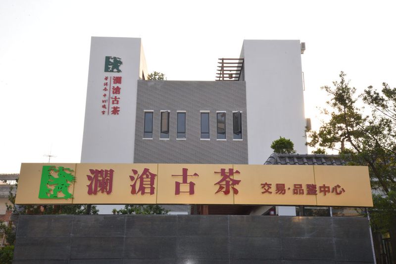 陷"左右手互搏" 普洱茶第一股澜沧古茶盈利预警