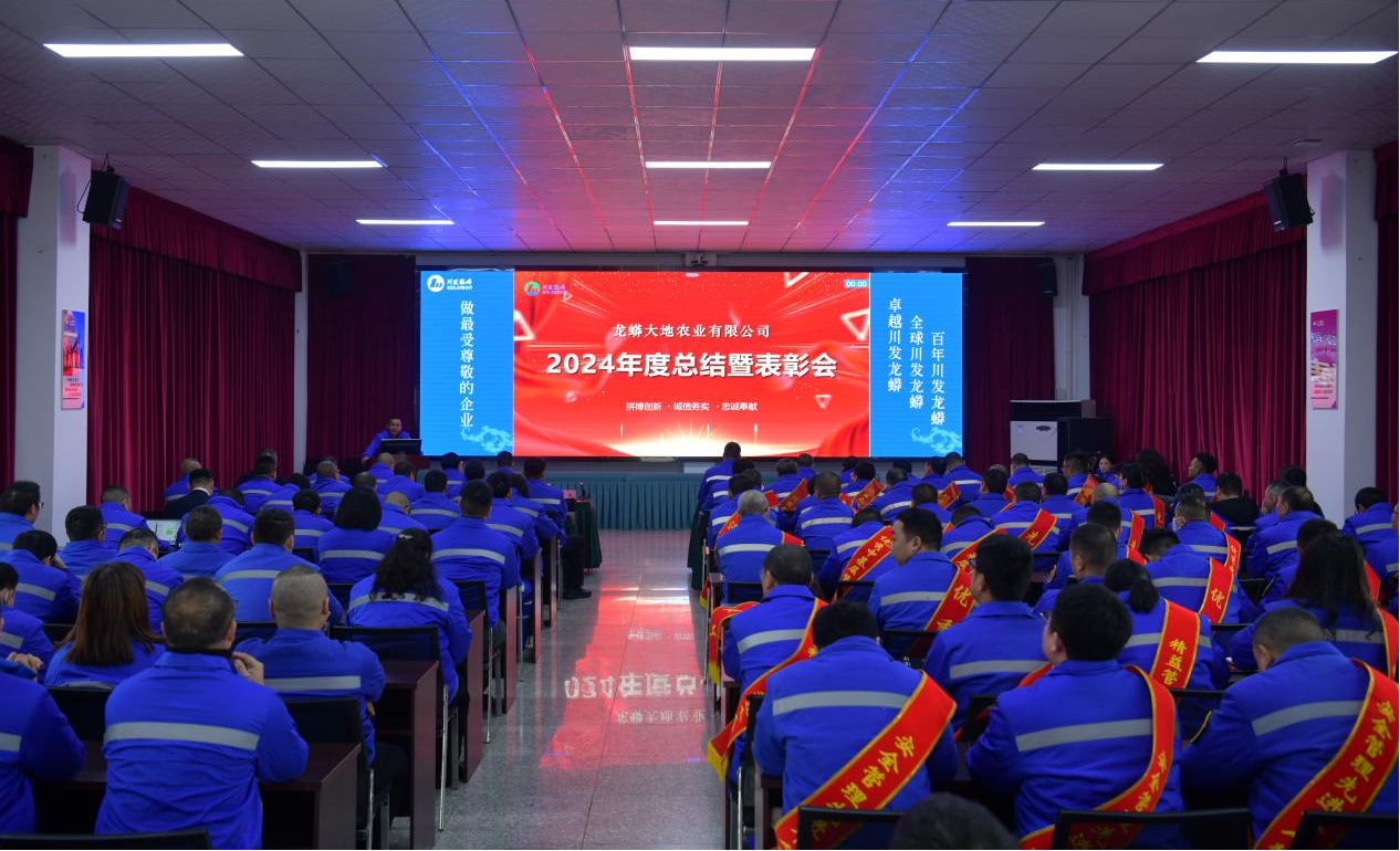 龙蟒大地2024年度总结暨表彰大会顺利召开