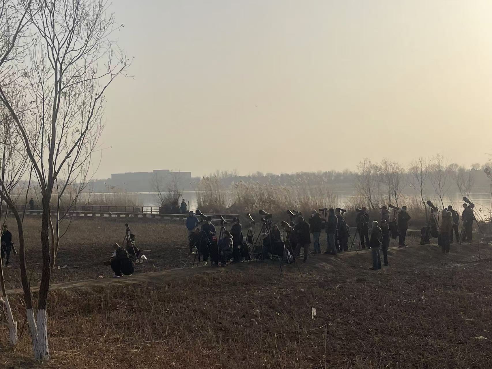 李现带动“打鸟”热背后：中国相机市场增长近三成领先全球