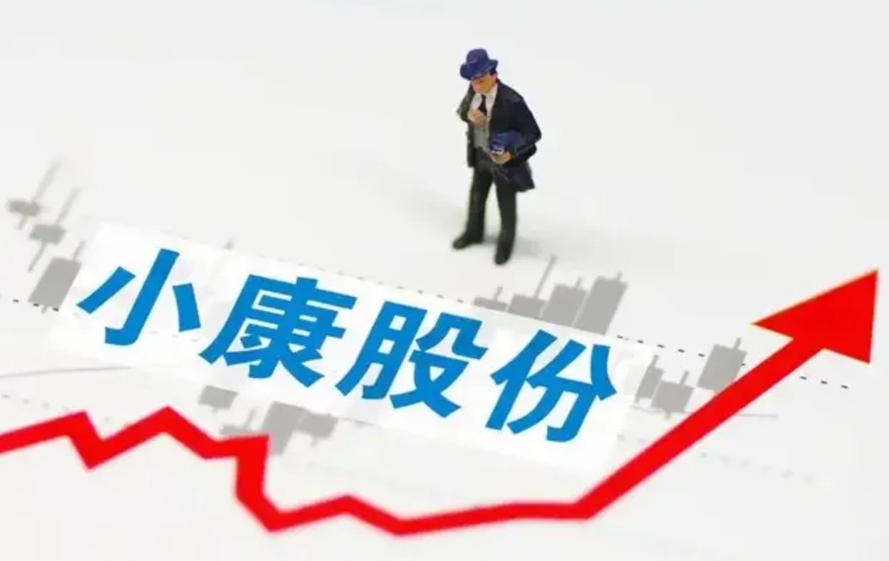 小康股份加大新能源研发投入 净利润亏损幅度大