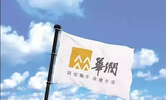 华润集团：努力在融入新发展格局上展现更大作为
