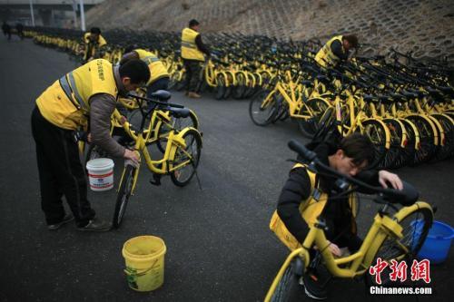 你的押金退了吗？ofo“跪着活下去”，给出新选项了