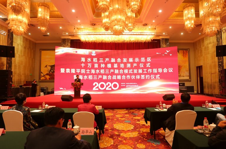 潍坊海水稻三产融合发展示范区十万亩种植基地测产丰收！