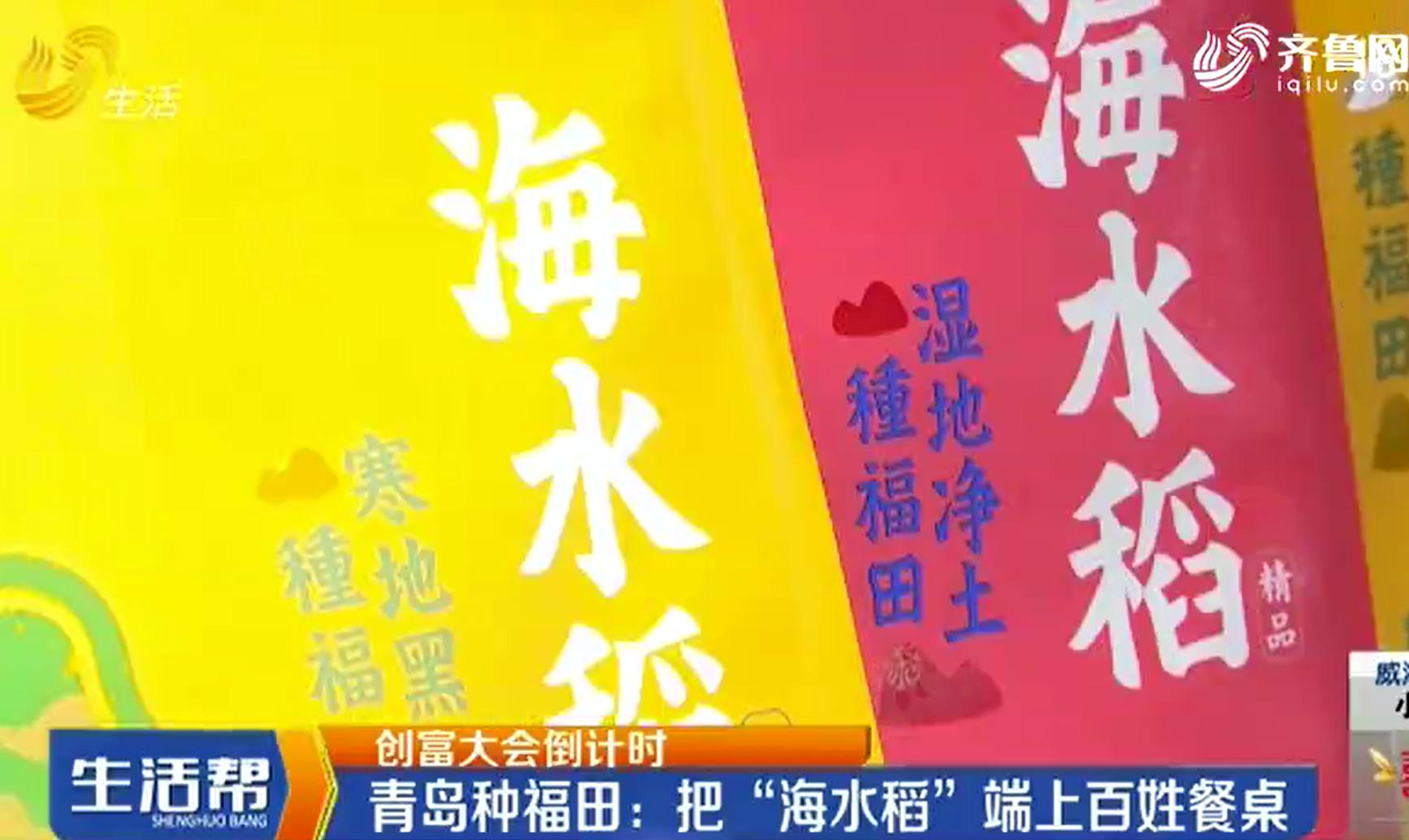 新闻聚焦：种福田把“海水稻”端上百姓餐桌！